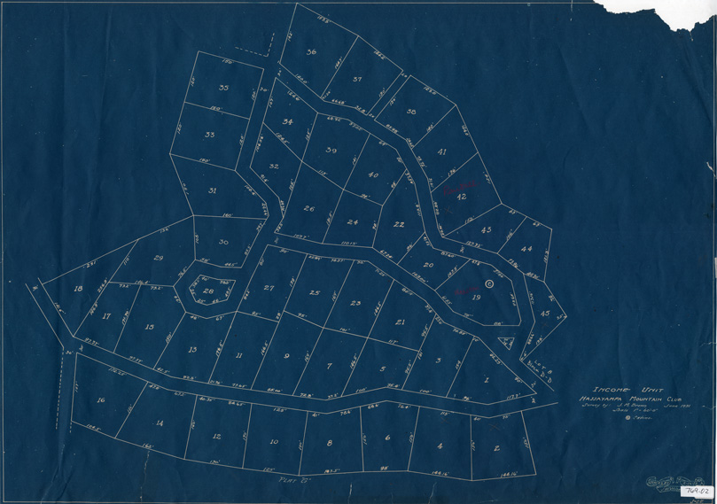 sample plat map